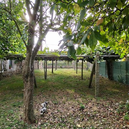 Casa Rural A Telleira A Estrada Εξωτερικό φωτογραφία